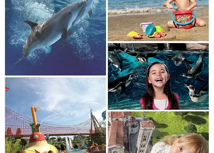 Rio Hotel Bellaria-Igea Marina