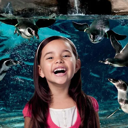 Rio 3* Bellaria-Igea Marina