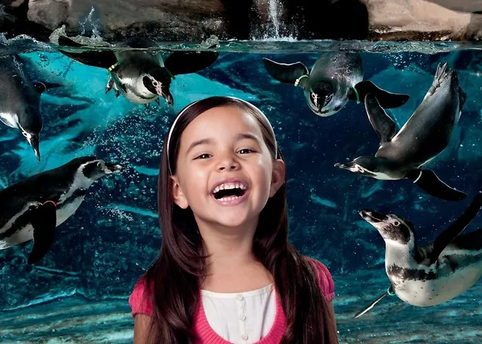 Rio 3* Bellaria-Igea Marina